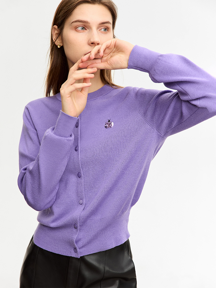 AMII Minimalist Yün Kazak Kadı - Embroidery Lady Bug incelemesi ve fiyatı